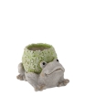 Chomik Садова Горщик - Зелена Жаба 34 x 26 x 21,8 См, GOT7447 - Home Club