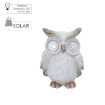 Chomik Садова Фігура - Сова З Світловими Очами 14,5 x 11,5 x 19 См Led, GOT7973 - Home Club