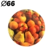Chomik Крышка fi66 Rts Фрукты k1100 9262 W5, 1000P66OW3 - Home Club