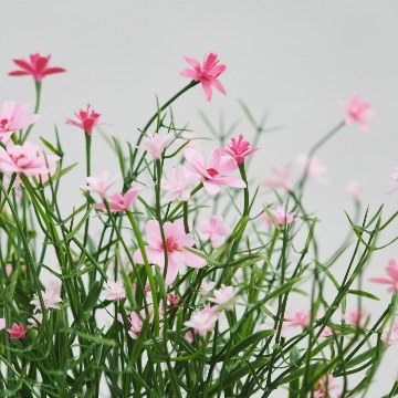 ІКЕА Штучна рослина в горщику FEJKA ФЕЙКА, 906.198.46 - Home Club