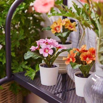 ІКЕА Штучна рослина в горщику FEJKA ФЕЙКА, 506.176.89 - Home Club