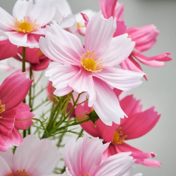 ІКЕА Штучний букет SMYCKA СМІККА, 106.176.72 - Home Club