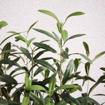 ІКЕА Штучна рослина в горщику FEJKA ФЕЙКА, 406.176.99 - Home Club