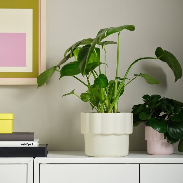 ІКЕА Кашпо HÄNGSÄLG, 506.150.77 - Home Club