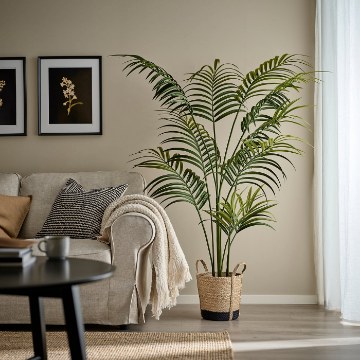 ІКЕА Кашпо TÄRNMÅS, 606.271.88 - Home Club