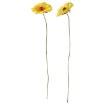 ИКЕА Искусственный цветок GULDSPETT, 406.149.69 - Home Club