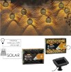 Garden Line Сонячна гірлянда для саду, довжина 2 + 1,8 м, Altros, 10 світлодіодів, теплий білий колір, SOL3651 - Home Club, зображення 3