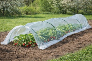 Garden Line Міні-Теплиця Для Саду Розміри Фольги 1,5 x 4 М Складна, EVA5417 - Home Club