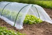 Garden Line Міні-Теплиця Для Саду Розміри Фольги 1,5 x 4 М Складна, EVA5417 - Home Club, зображення 4