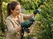 Garden Line Аккумуляторный секатор 21 В, 30 мм, WAN5486 - Home Club, изображение 20