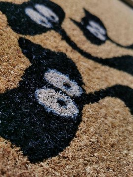 Kontrasto Кокосовый коврик для входа Tucan 40x60, модель 11, 2.14.11440 - Home Club