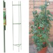 Garden Line Подпорка для растений, томатов 11 мм x 180 см, EVA8204 - Home Club