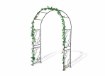 Garden Line Садовая Пергола 135 x 54 x 215 см, PERG-N9536 - Home Club, изображение 2