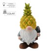 Chomik Садова Фігурка — Ананасовий Гном Зі Світлодіодним Підсвічуванням, 21 × 18 × 40 См, TOG0333 - Home Club, зображення 5