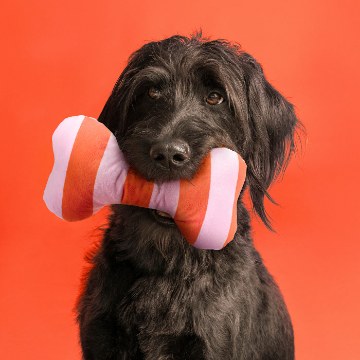 ИКЕА Мягкая игрушка для собаки UTSÅDD, 806.252.06 - Home Club