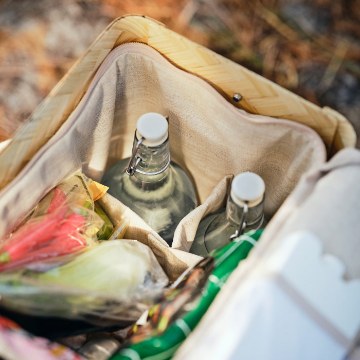 ИКЕА Холодильная корзина SOLUPPGÅNG, 306.213.24 - Home Club