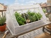 Garden Line Очень Маленькая Белая Очеренная Очеренная Очеренная Очеренная Очеренная Очеренная Очеренная Очеренная Очеренная, TUN0773 - Home Club, изображение 5