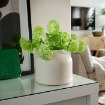 ИКЕА Ваза BLODBJÖRK, 906.072.97 - Home Club, изображение 8