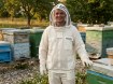 Chomik 3-слойная вентилируемая куртка для пчеловодства, размер «L», BEE2731 - Home Club, изображение 10