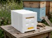 Chomik Свадебный улей с 3 рамками и пенопластовой крышкой, BEE3806 - Home Club, изображение 12