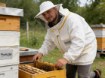 Chomik Блузка Для Пчеловодов, Размер «L», BEE7651 - Home Club, изображение 6