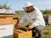 Chomik Пчеловодческая куртка, размер «Xxl», BEE7699 - Home Club, изображение 7