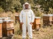 Chomik Комбинезон Пчеловода Размер «L», BEE7668 - Home Club, изображение 7