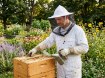 Chomik Пчеловодческая шляпа, BEE6587 - Home Club, изображение 5