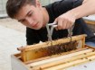Chomik Хватач Для Рамок З Нержавіючої Сталі, BEE2656 - Home Club, зображення 6