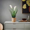 ИКЕА Искусственное растение в горшке FEJKA ФЕЙКА, 806.263.95 - Home Club, изображение 3