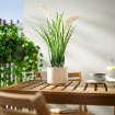 ИКЕА Искусственное растение в горшке FEJKA ФЕЙКА, 806.263.95 - Home Club, изображение 4