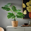 ИКЕА Искусственное растение в горшке FEJKA ФЕЙКА, 106.152.44 - Home Club, изображение 7