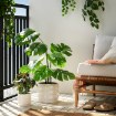 ИКЕА Искусственное растение в горшке FEJKA ФЕЙКА, 106.152.44 - Home Club, изображение 8