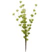 Garden Line Декоративная трава — 104 см, зеленая, TER3310 - Home Club, изображение 2