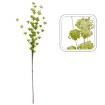 Garden Line Декоративная трава — 104 см, зеленая, TER3310 - Home Club