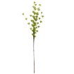 Garden Line Декоративная трава — 104 см, зеленая, TER3310 - Home Club, изображение 3