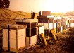 Chomik Стяжной ремень для ульев/багажа, 3,5 м, BEE2762 - Home Club, изображение 7