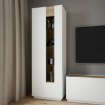 Forte Вузька вітрина 60 см Lewisville Secret Grey/Дуб Валенсія, LWSV711-M829 - Home Club