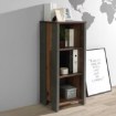 Forte Вузька низька шафа Clif Old – Wood Vintage/Бетон, CLFR315-C546 - Home Club