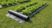 Garden Line Агротканина для мульчування, протибур'янова, з Уф-захистом, чорна, 1,6 x 100 м, 90 г/м², AGO6414 - Home Club, зображення 3