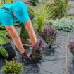 Garden Line Агротканина для мульчування, протибур'янова, з Уф-захистом, чорна, 1,6 x 100 м, 90 г/м², AGO6414 - Home Club, зображення 8