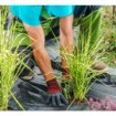 Garden Line Агротканина для мульчування, протибур'янова, з Уф-захистом, чорна, 1,6 x 100 м, 90 г/м², AGO6414 - Home Club, зображення 9
