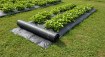 Garden Line Агротканина для мульчування, протибур'янова, з Уф-захистом, чорна, 1,6 x 100 м, 90 г/м², AGO6414 - Home Club, зображення 13