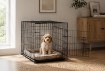 Chomik Клітка Для Собаки «Xl» 91 X 57 X 63,5, PET9678 - Home Club, зображення 14