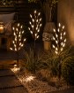 Garden Line Солнечная Лампа H 60 Cm 3 Ветки 60 Led Теплый Белый, SOL6094 - Home Club, изображение 7