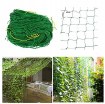 Garden Line Сетка для вьющихся растений 0,9 x 1,8 м, JAW9324 - Home Club, изображение 6
