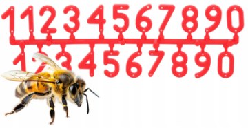 Chomik Кпл. Номери На Вуличках, BEE3943 - Home Club