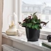 ИКЕА Горшок BROKTRAST, 506.353.96 - Home Club, изображение 4