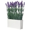 ИКЕА Искусственное растение в горшке FEJKA ФЕЙКА, 005.863.55 - Home Club