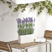 ИКЕА Искусственное растение в горшке FEJKA ФЕЙКА, 005.863.55 - Home Club, изображение 2